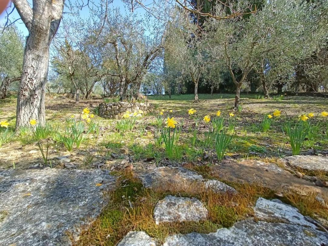 Poggio House, Tranquillita E Comfort Nella Natura Сан-Кашіано-ін-Валь-ді-Пеза Екстер'єр фото